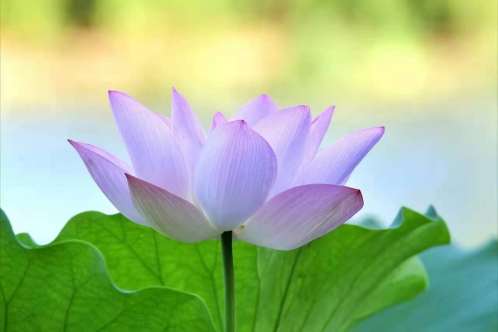 1619658793882108.png image.png